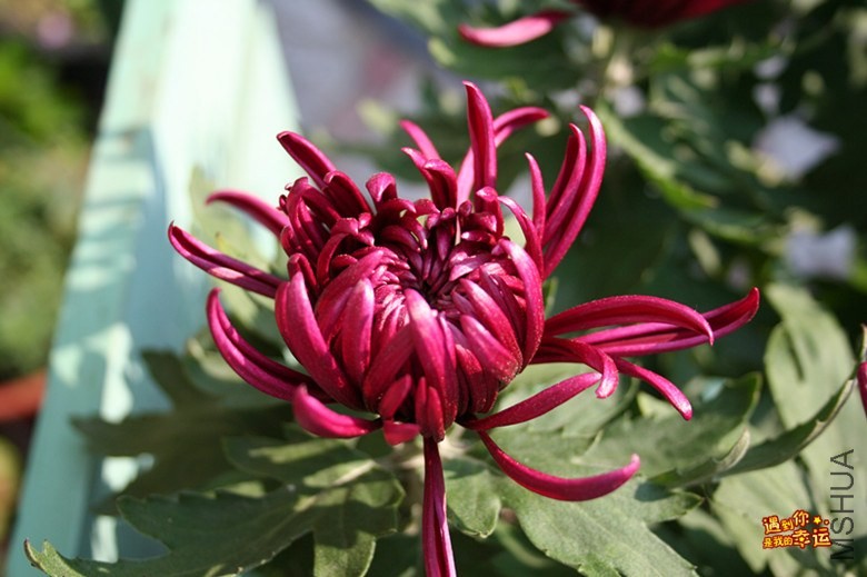 ��Ƭ 025_����.jpg