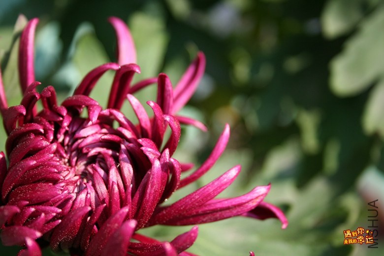 ��Ƭ 026_����.jpg