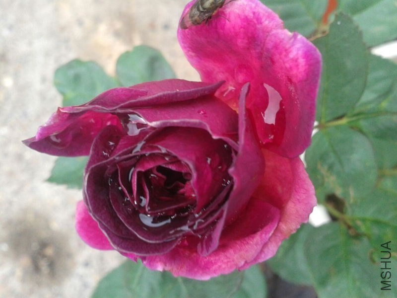 QQͼƬ20070101031247_����.jpg