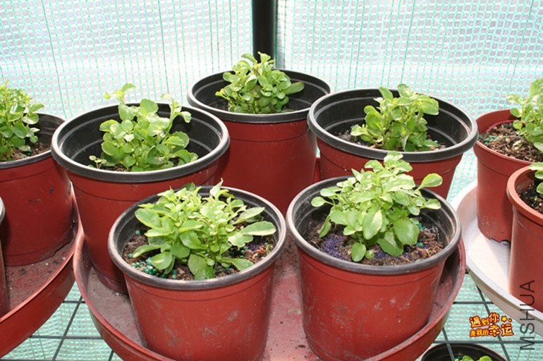 ��Ƭ 079_����.jpg