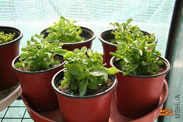 ��Ƭ 080_����.jpg