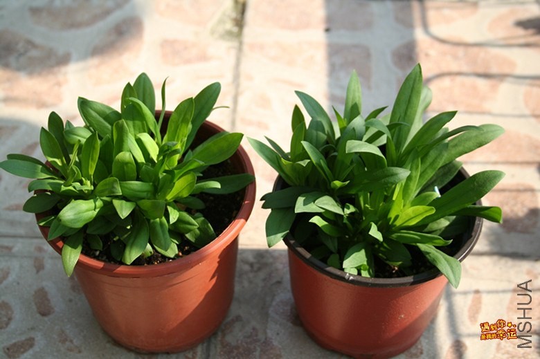 ��Ƭ 117_����.jpg