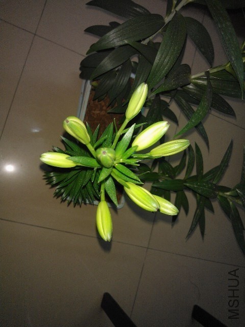 QQͼƬ20131114220204.jpg