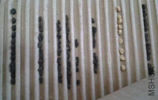 20131115_082739.jpg
