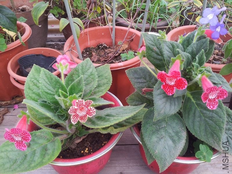 20131115_084750.jpg