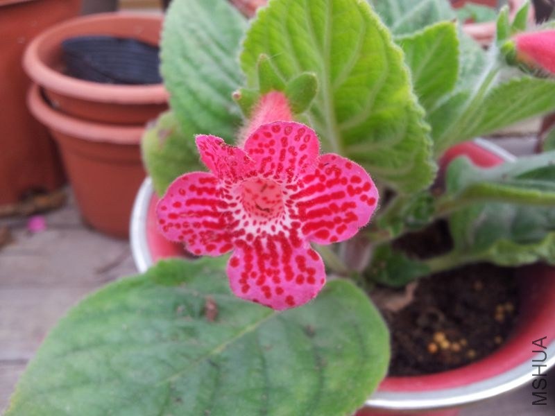 20131115_084759.jpg