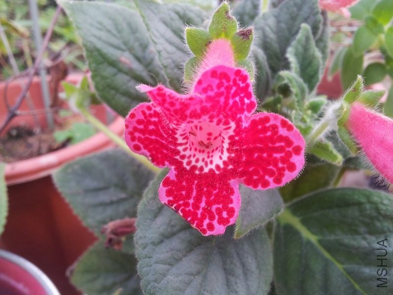 20131115_084811.jpg