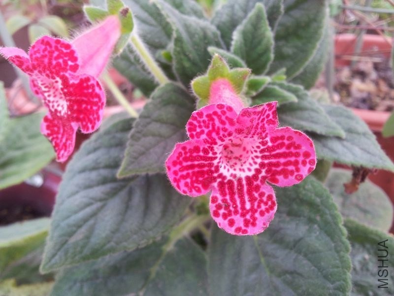 20131115_084817.jpg