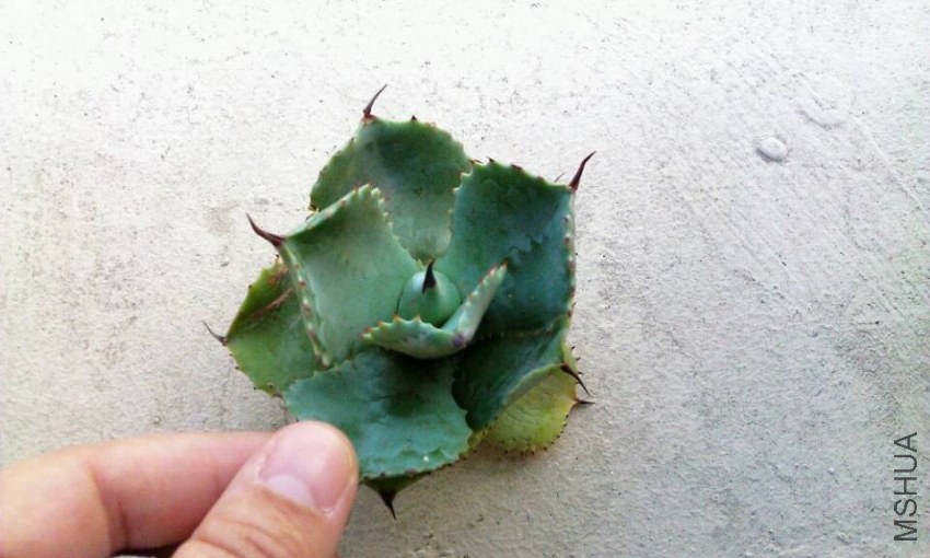 QQͼƬ20131115160256.jpg