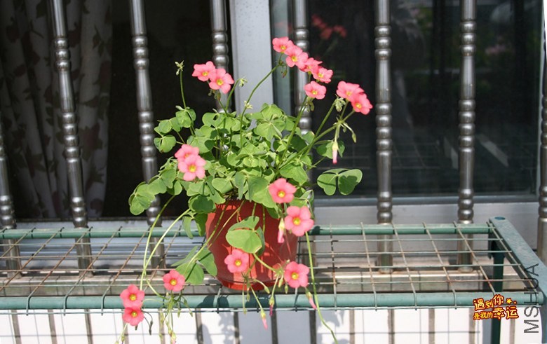 ��Ƭ 010_����.jpg