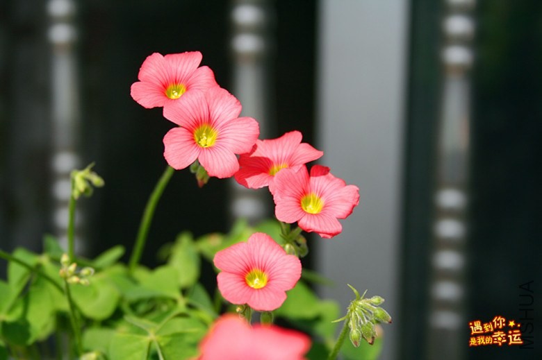 ��Ƭ 012_����.jpg