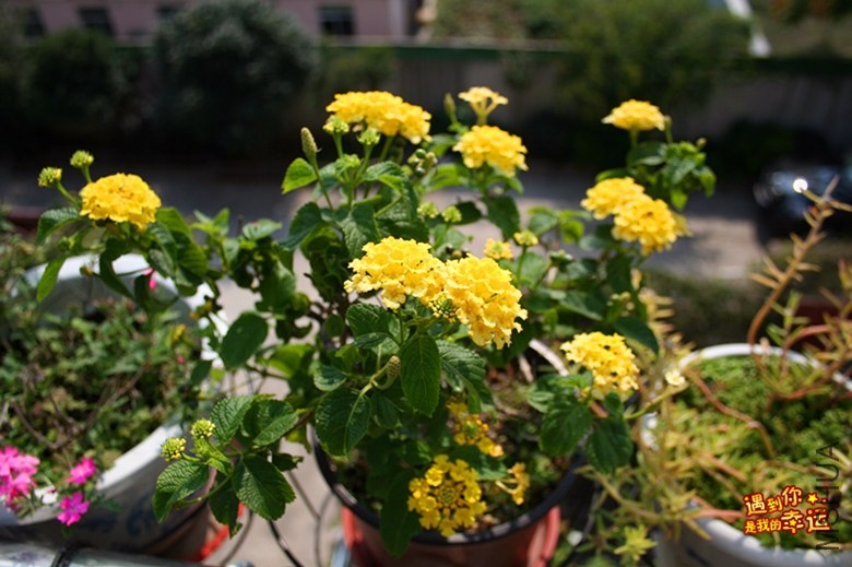 ��Ƭ 034_����.jpg