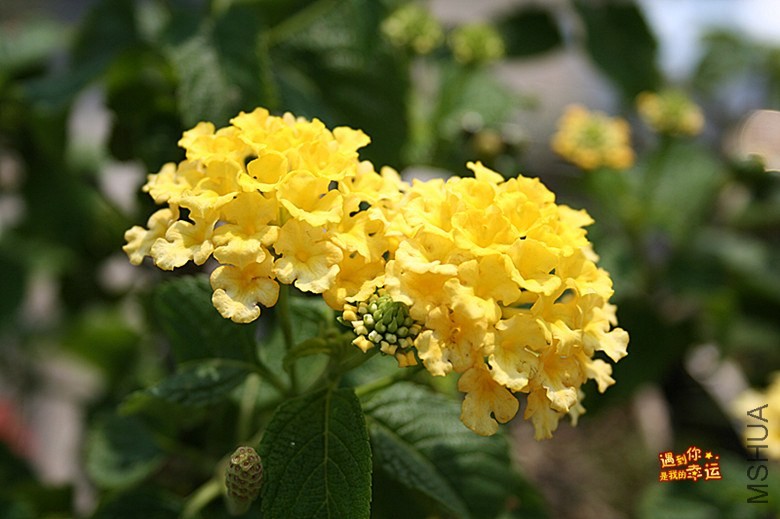 ��Ƭ 036_����.jpg