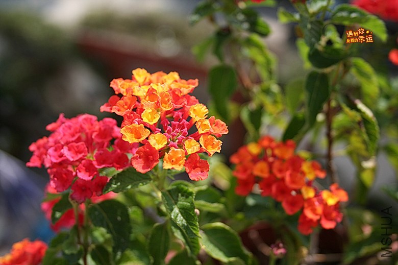 ��Ƭ 039_����.jpg