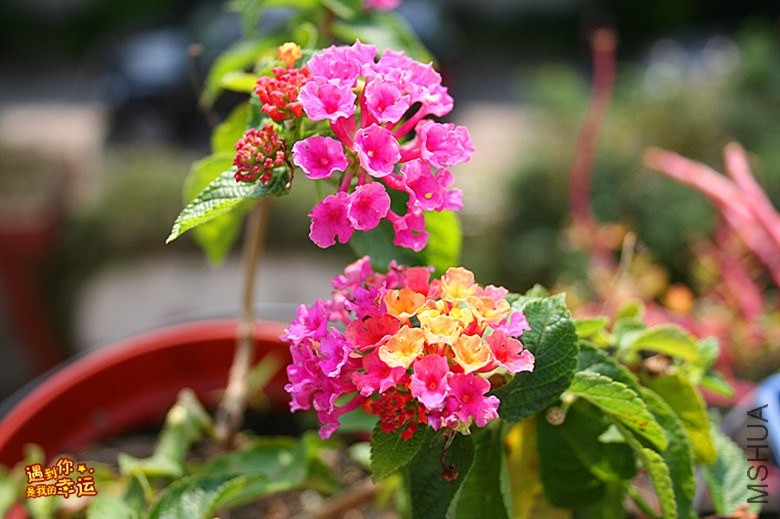 ��Ƭ 041_����.jpg