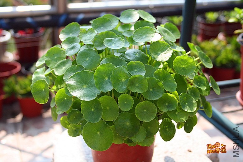 ��Ƭ 044_����.jpg