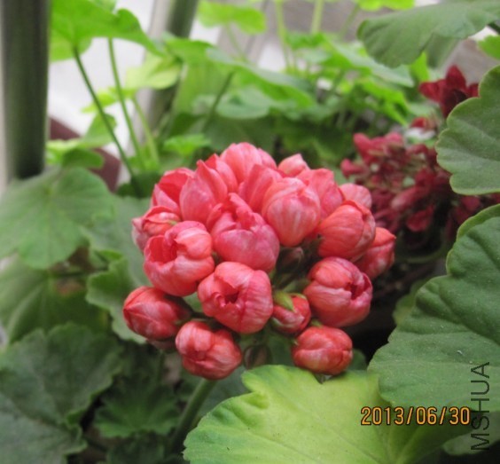 QQ��ͼ20131115194209.jpg