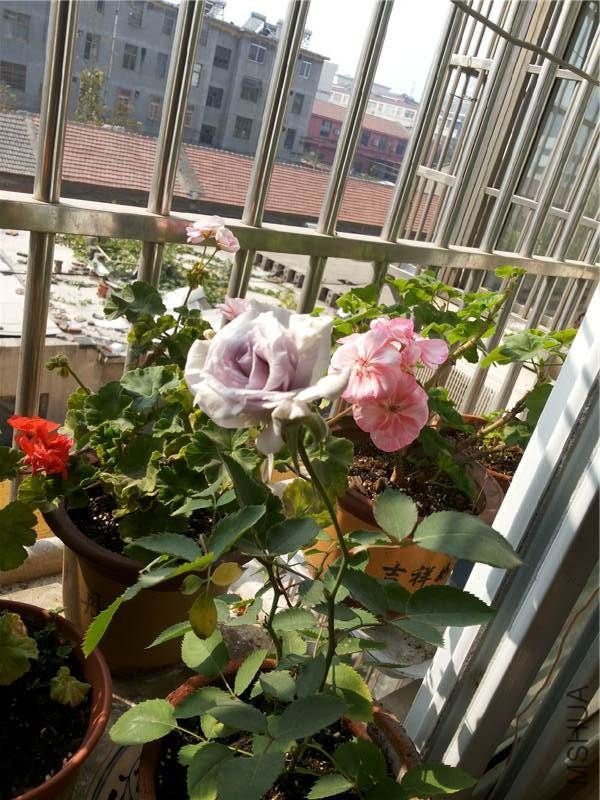 20131026_102332.jpg