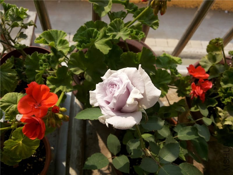 20131026_102452.jpg
