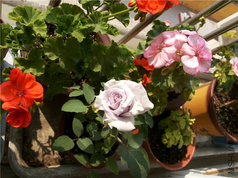 20131026_102518.jpg