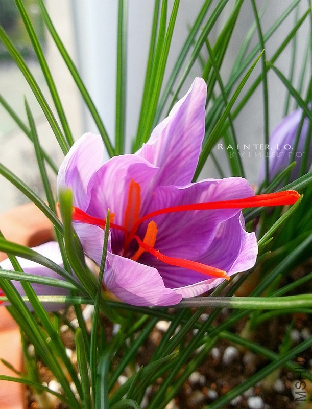 20131115_114053.jpg