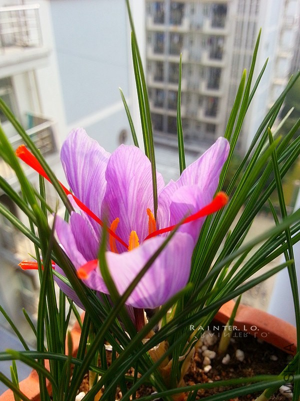 20131115_114313.jpg