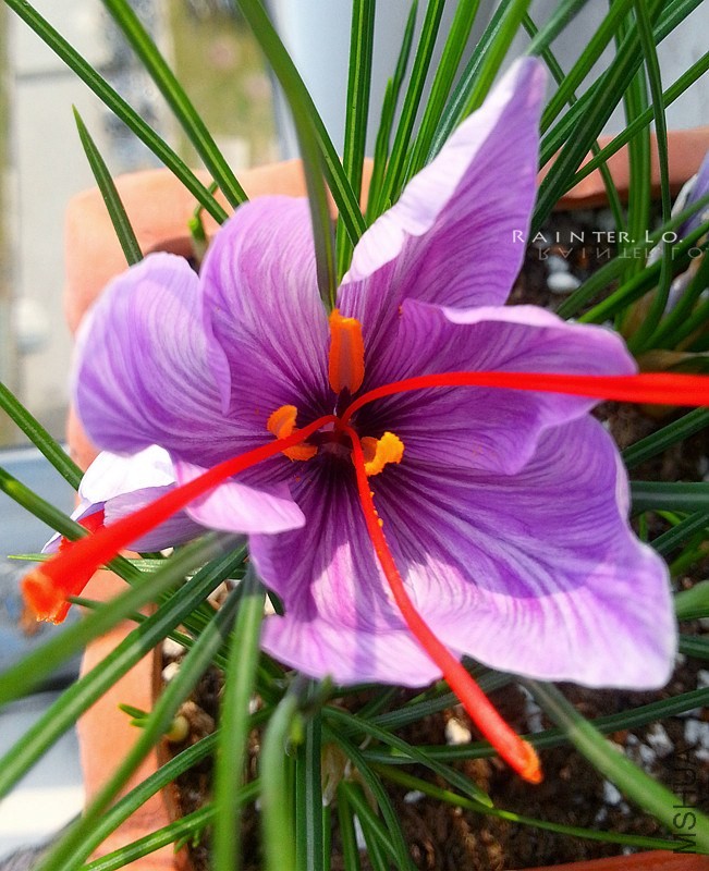 20131115_114252.jpg