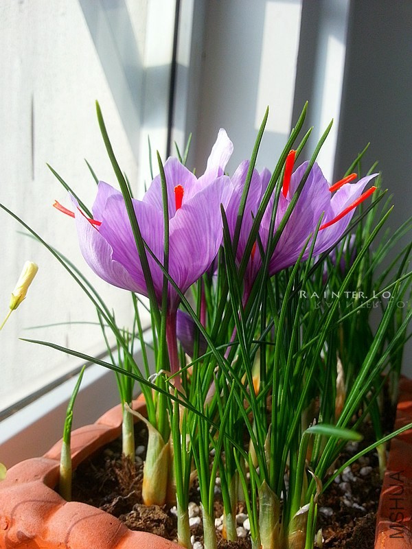 20131116_093931.jpg