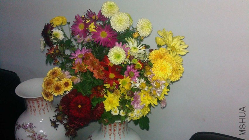 IMAG0631.jpg