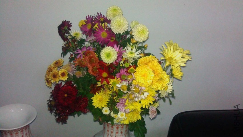 IMAG0632.jpg