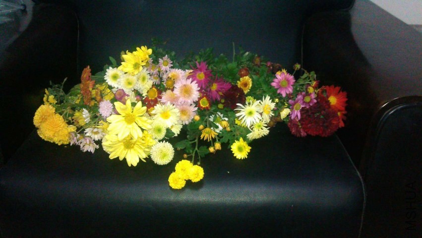IMAG0633.jpg