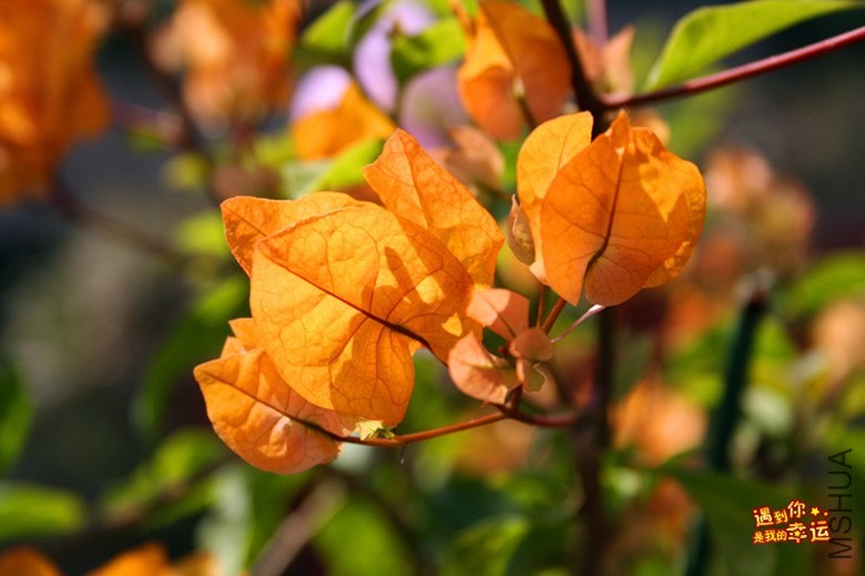 ��Ƭ 012_����.jpg