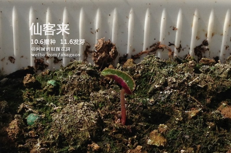 �ɿ���2013_1114_125048.jpg