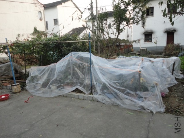 DSC04146.JPG