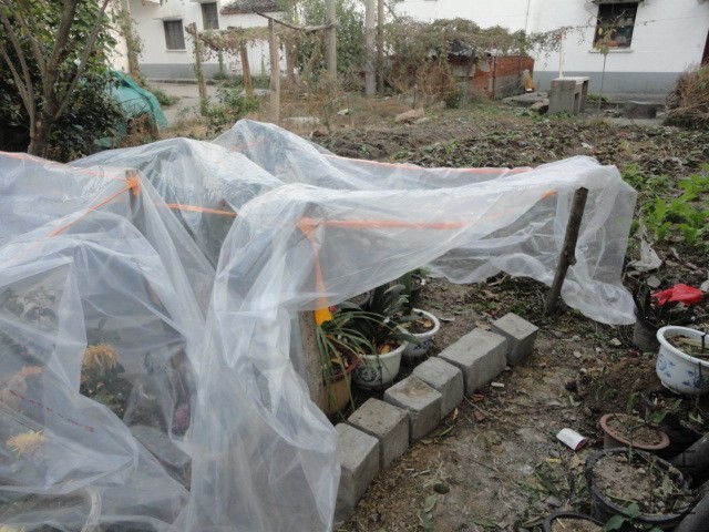 DSC04148.JPG