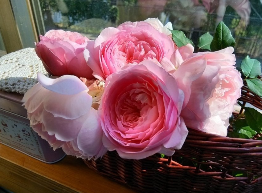 һ�����D1.jpg