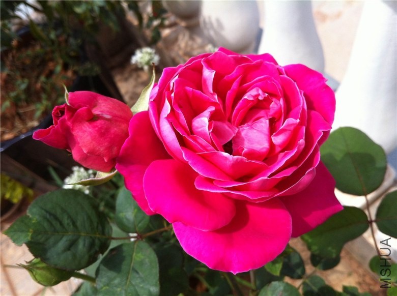 w 151_����1.jpg