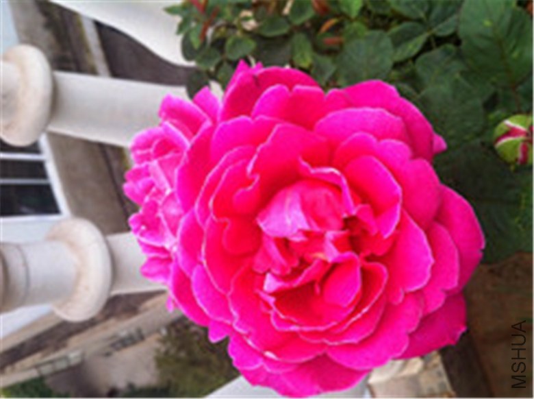 w 152_����1.jpg