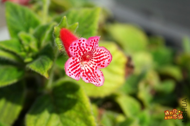 ��Ƭ 033_����.jpg