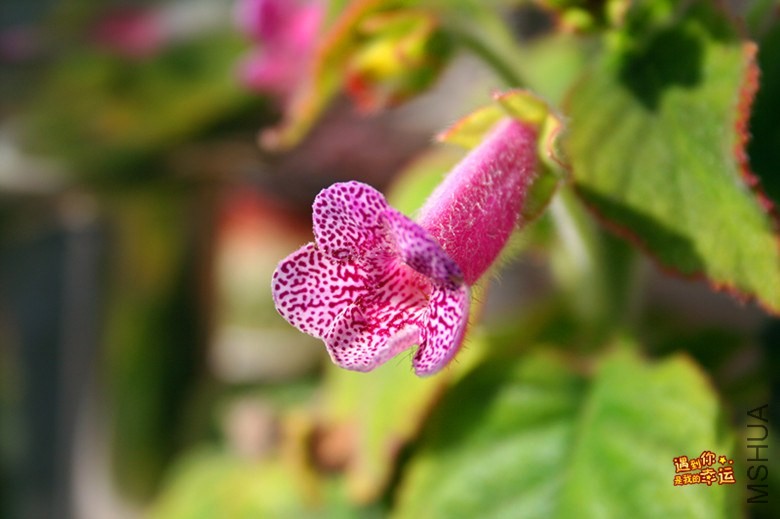 ��Ƭ 031_����.jpg