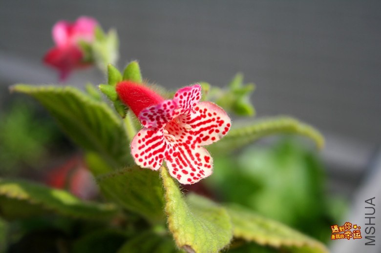 ��Ƭ 032_����.jpg