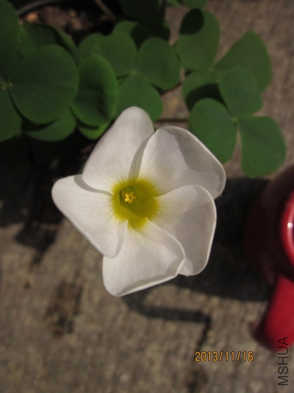 bbsIMG_2818.jpg