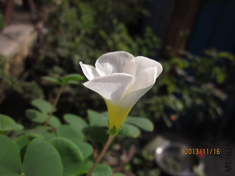 bbsIMG_2819.jpg
