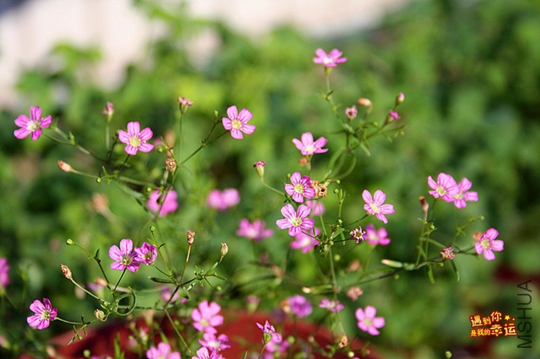 ��Ƭ 043_����.jpg