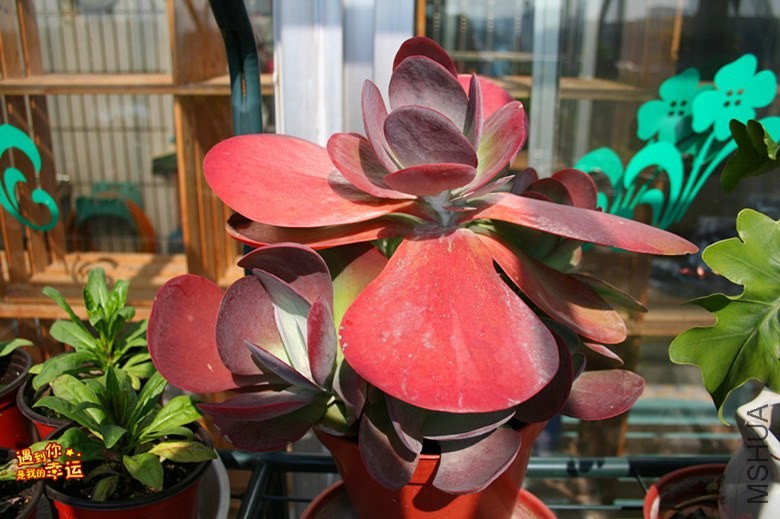 ��Ƭ 091_����.jpg