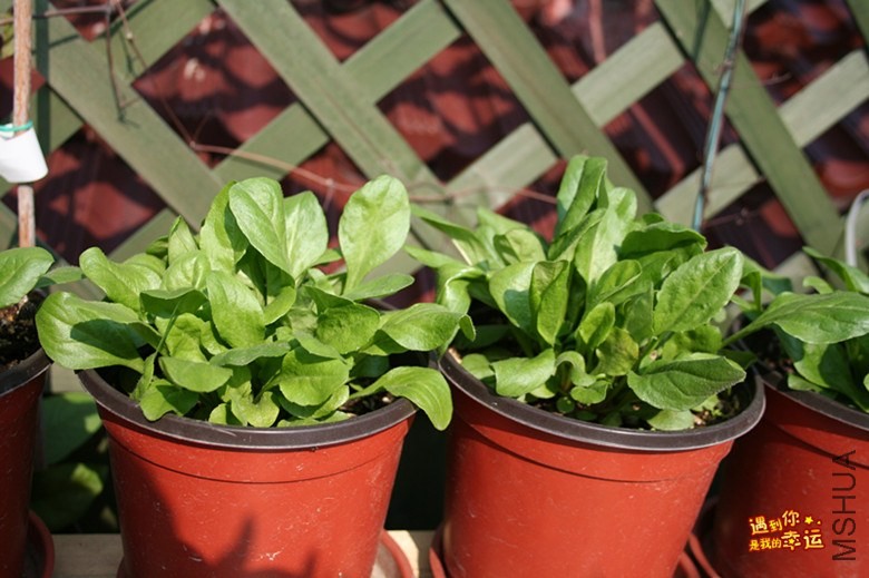 ��Ƭ 104_����.jpg