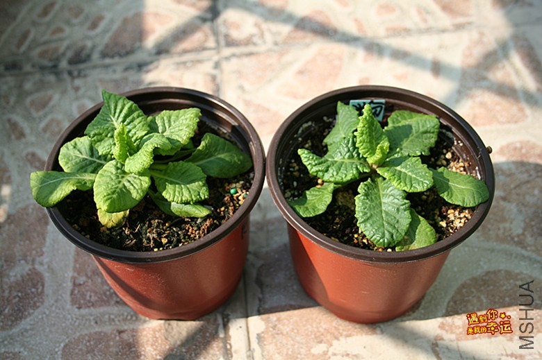 ��Ƭ 105_����.jpg