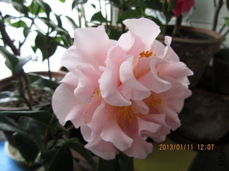 IMG_0205.JPG