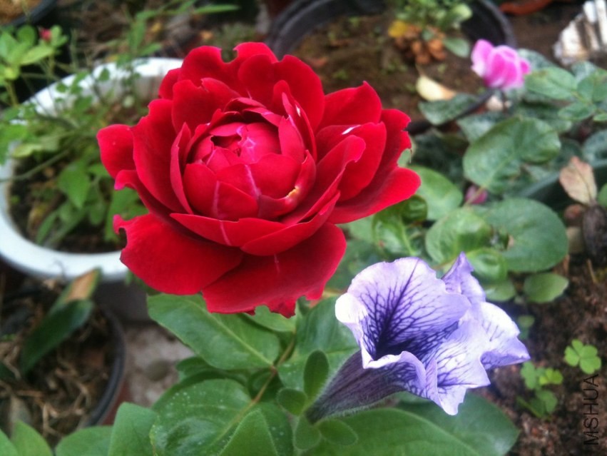 2013-11-14 094052.jpg