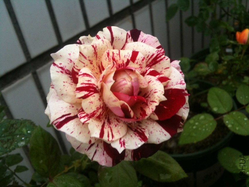 2013-11-11 091523.jpg